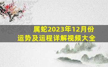 属蛇2023年12月份运势及运程详解视频大全