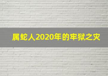 属蛇人2020年的牢狱之灾