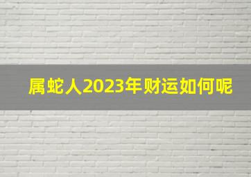 属蛇人2023年财运如何呢