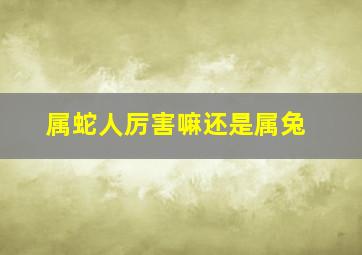 属蛇人厉害嘛还是属兔