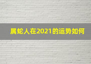 属蛇人在2021的运势如何