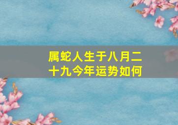 属蛇人生于八月二十九今年运势如何