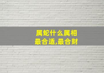 属蛇什么属相最合适,最合财