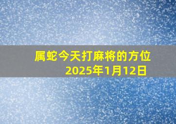 属蛇今天打麻将的方位2025年1月12日