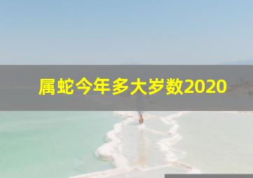 属蛇今年多大岁数2020