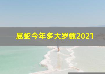 属蛇今年多大岁数2021