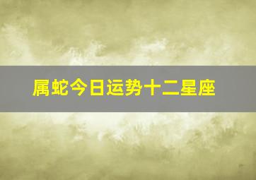 属蛇今日运势十二星座