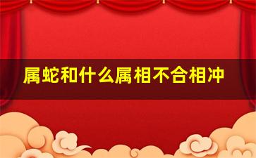 属蛇和什么属相不合相冲