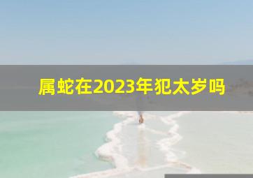 属蛇在2023年犯太岁吗