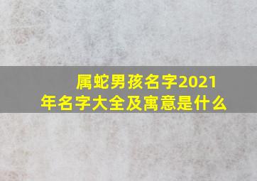 属蛇男孩名字2021年名字大全及寓意是什么