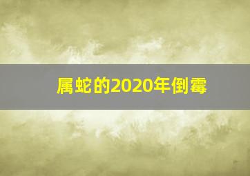 属蛇的2020年倒霉