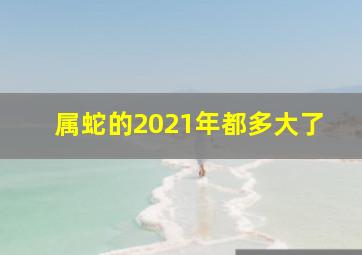 属蛇的2021年都多大了