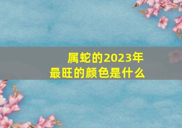 属蛇的2023年最旺的颜色是什么