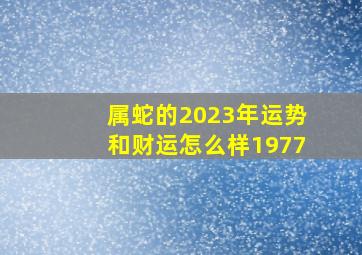 属蛇的2023年运势和财运怎么样1977