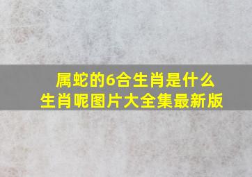 属蛇的6合生肖是什么生肖呢图片大全集最新版