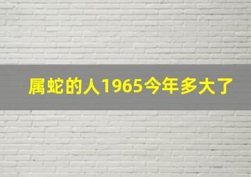 属蛇的人1965今年多大了