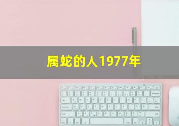 属蛇的人1977年