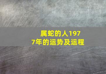 属蛇的人1977年的运势及运程