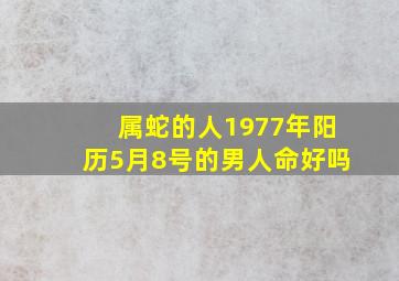 属蛇的人1977年阳历5月8号的男人命好吗