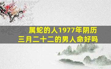 属蛇的人1977年阴历三月二十二的男人命好吗