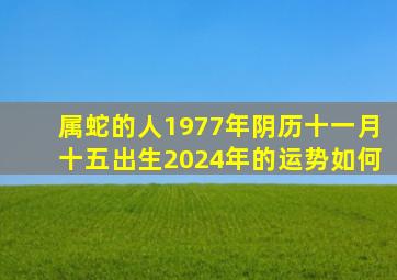 属蛇的人1977年阴历十一月十五出生2024年的运势如何