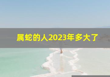 属蛇的人2023年多大了