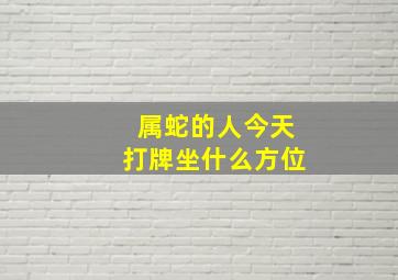 属蛇的人今天打牌坐什么方位