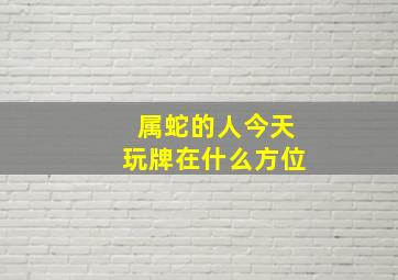 属蛇的人今天玩牌在什么方位