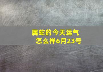 属蛇的今天运气怎么样6月23号