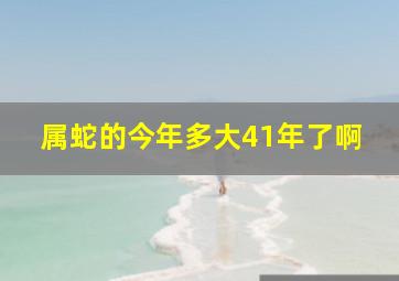 属蛇的今年多大41年了啊