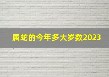 属蛇的今年多大岁数2023