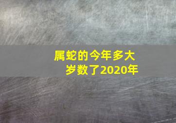 属蛇的今年多大岁数了2020年