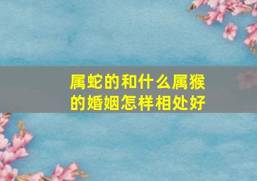 属蛇的和什么属猴的婚姻怎样相处好