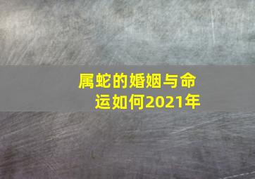 属蛇的婚姻与命运如何2021年