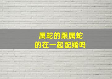 属蛇的跟属蛇的在一起配婚吗