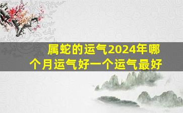 属蛇的运气2024年哪个月运气好一个运气最好