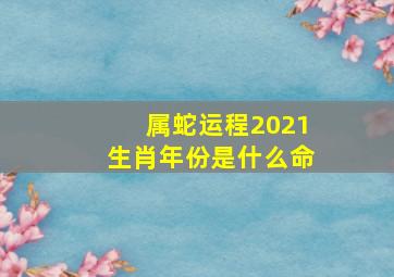 属蛇运程2021生肖年份是什么命