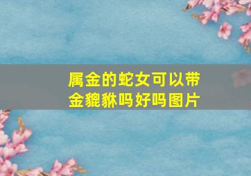 属金的蛇女可以带金貔貅吗好吗图片