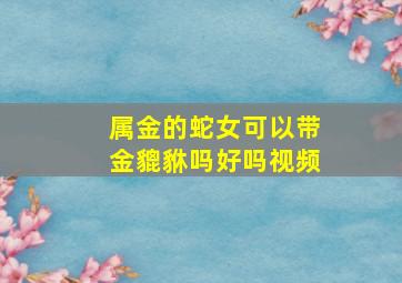 属金的蛇女可以带金貔貅吗好吗视频