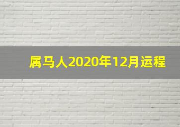 属马人2020年12月运程