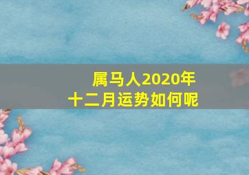 属马人2020年十二月运势如何呢