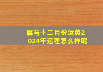 属马十二月份运势2024年运程怎么样呢