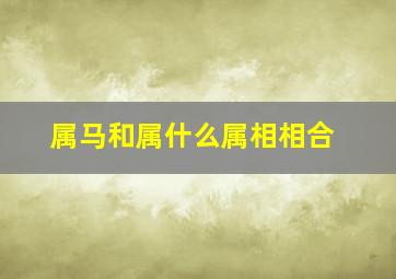 属马和属什么属相相合