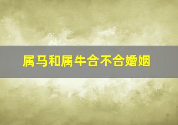 属马和属牛合不合婚姻