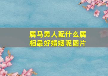 属马男人配什么属相最好婚姻呢图片