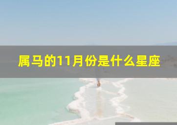 属马的11月份是什么星座