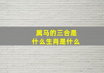 属马的三合是什么生肖是什么