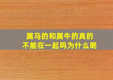 属马的和属牛的真的不能在一起吗为什么呢