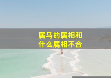 属马的属相和什么属相不合