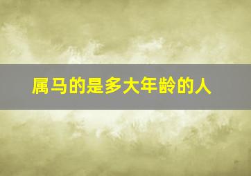 属马的是多大年龄的人